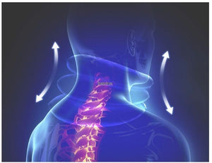 Cervical Traction Apparatus  وسادة دعم الرقبة